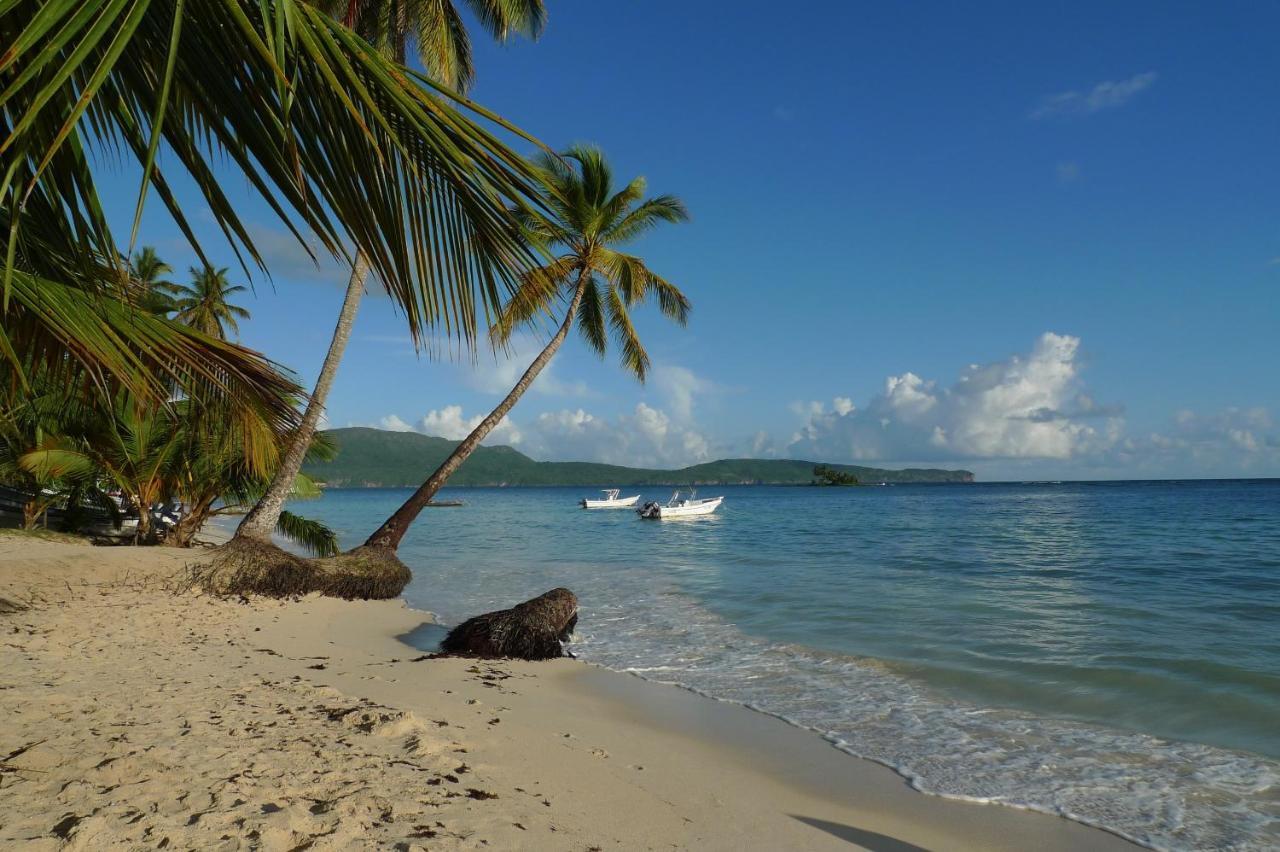 Apart-Hotel Garden Villa Las Galeras Dış mekan fotoğraf