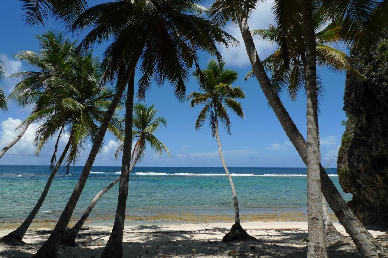 Apart-Hotel Garden Villa Las Galeras Dış mekan fotoğraf