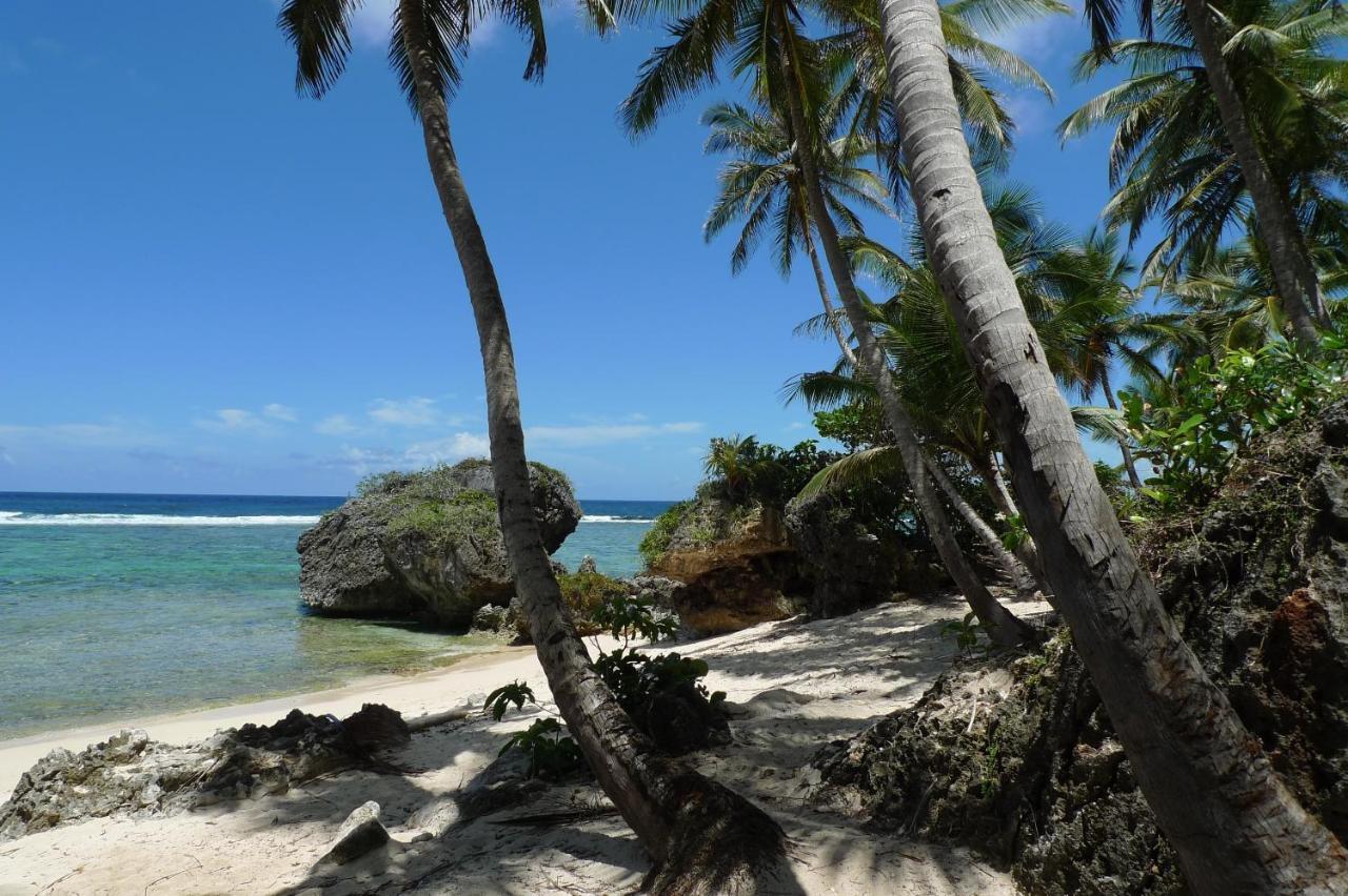 Apart-Hotel Garden Villa Las Galeras Dış mekan fotoğraf